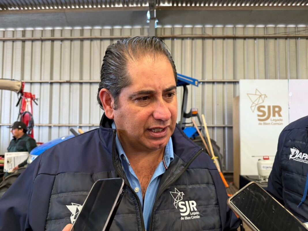 Borrador automático