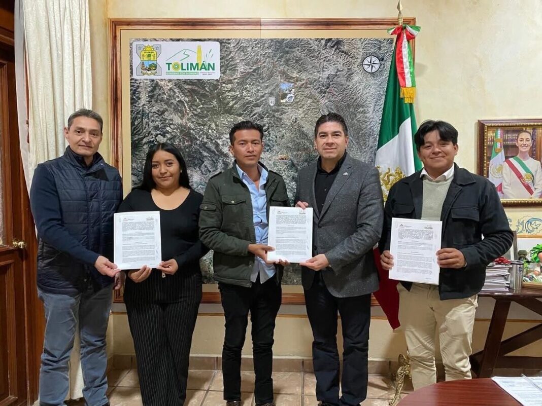 Borrador automático