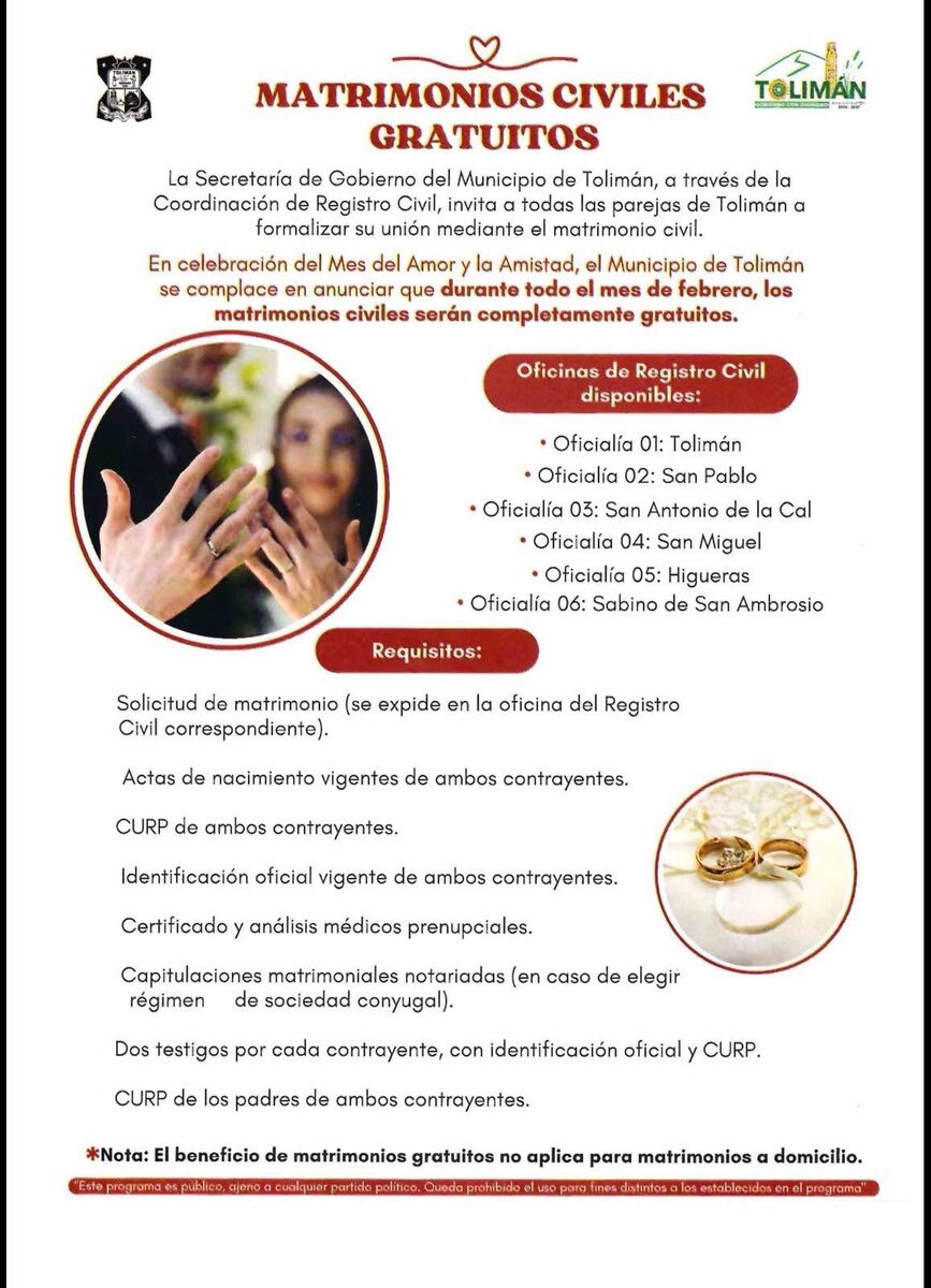 Borrador automático