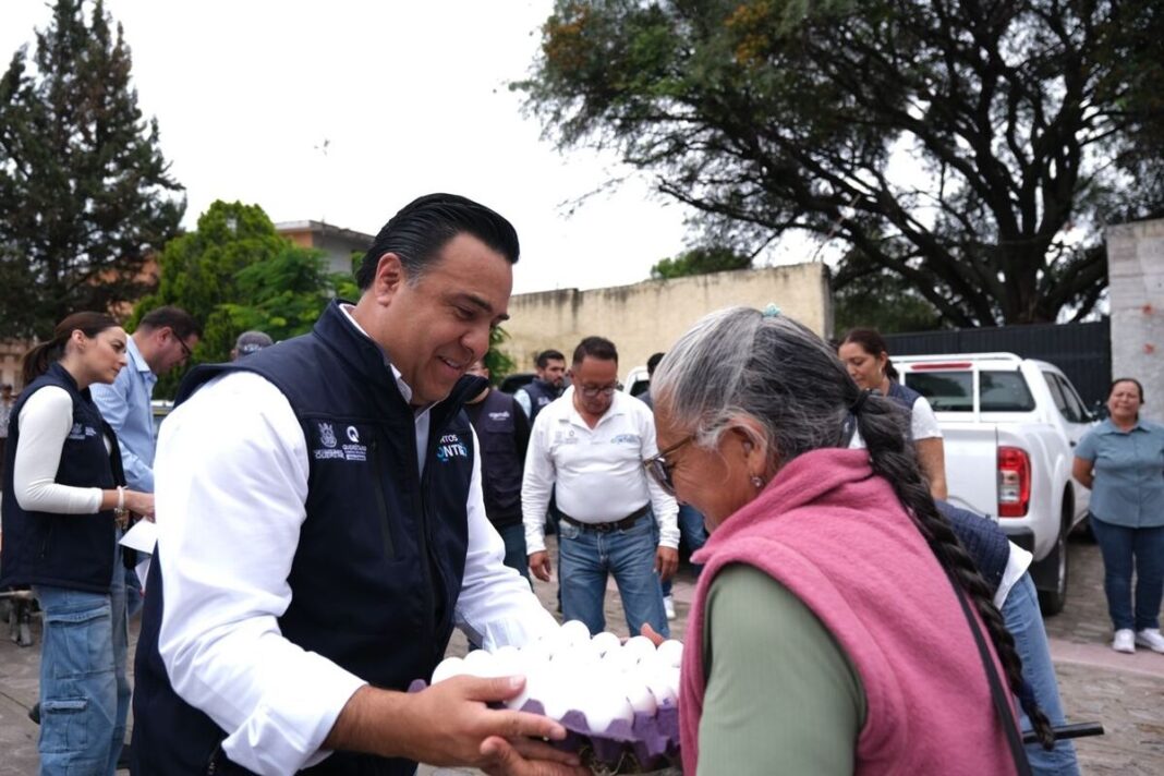 Borrador automático