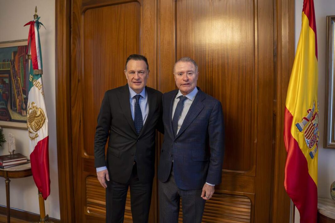 Borrador automático