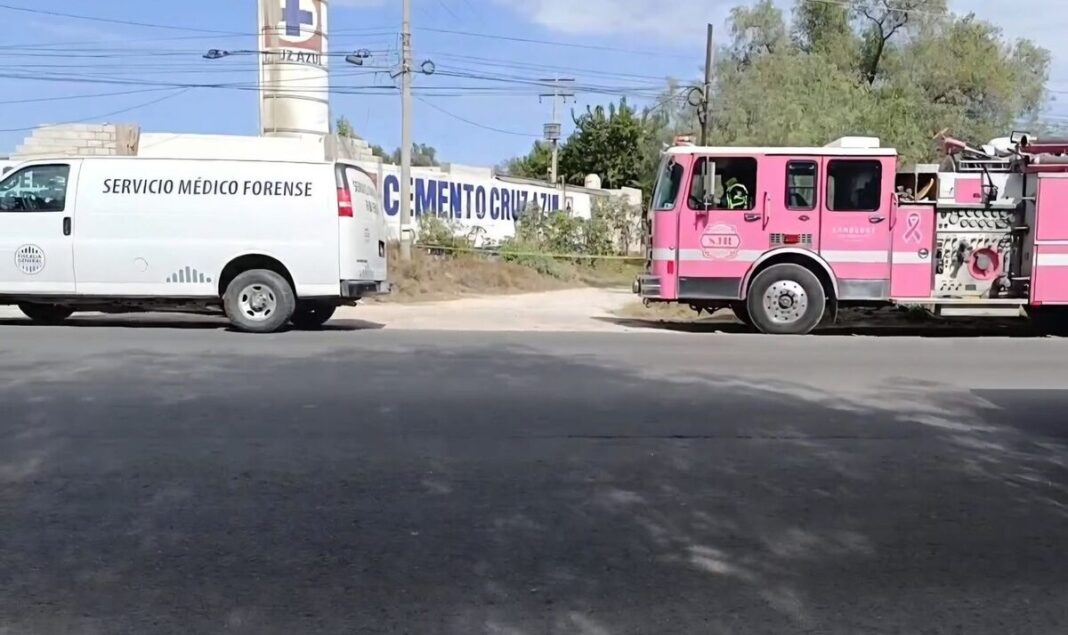 Borrador automático