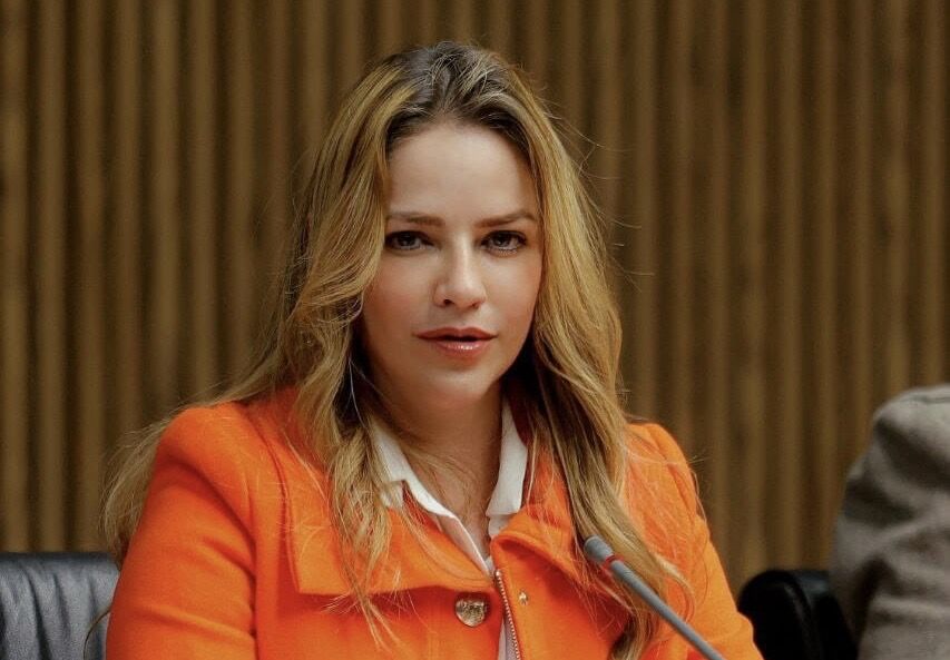 Borrador automático