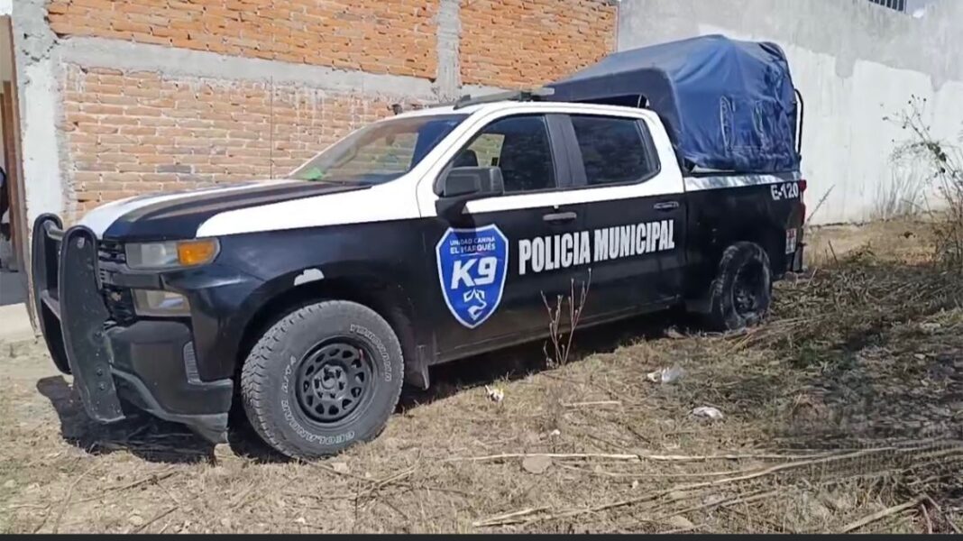 Borrador automático