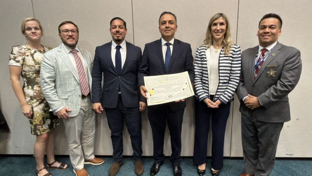 Borrador automático