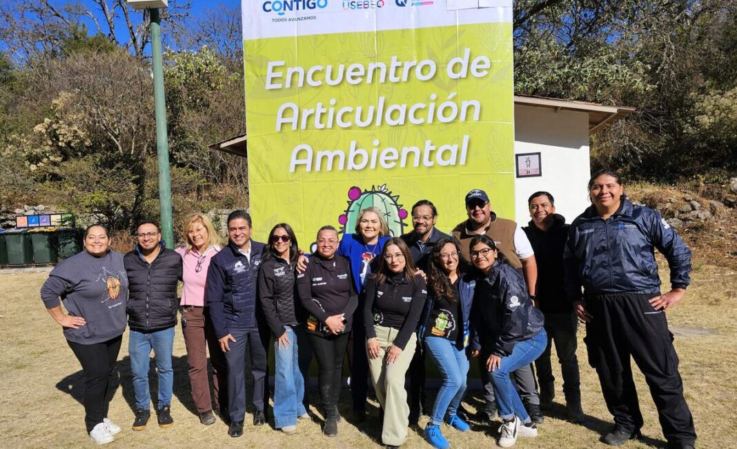 Borrador automático