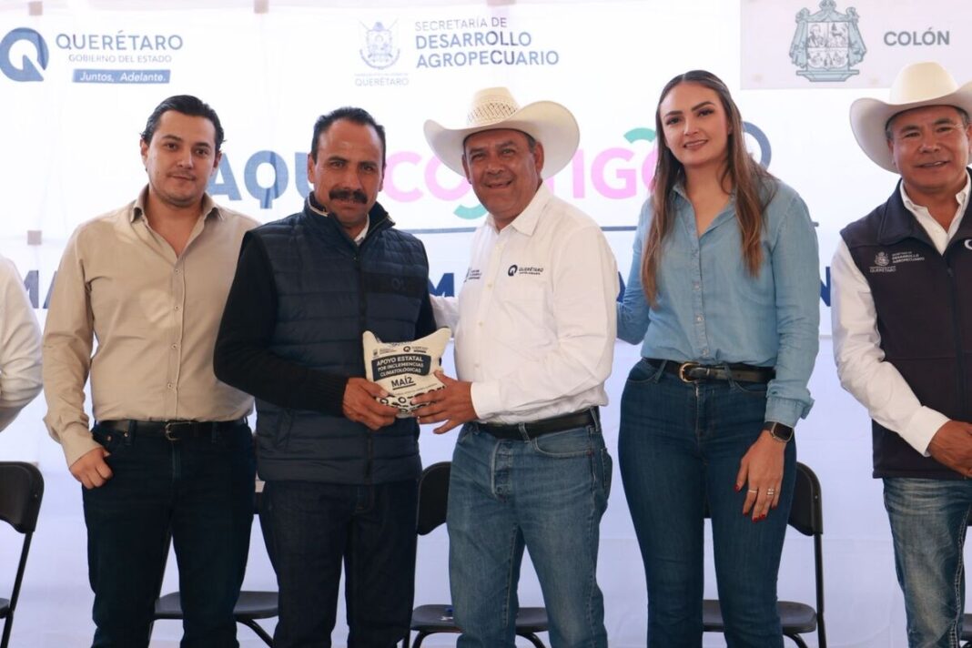 Borrador automático