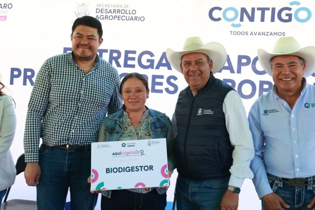 Borrador automático