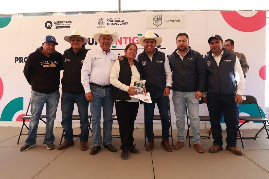 Borrador automático