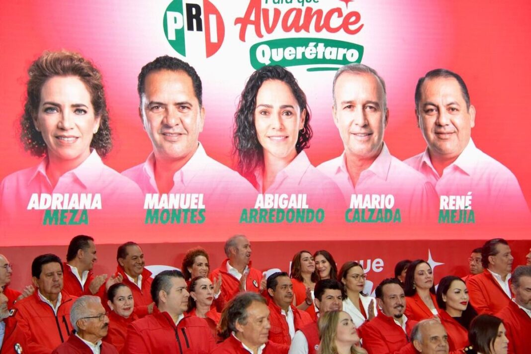 Borrador automático