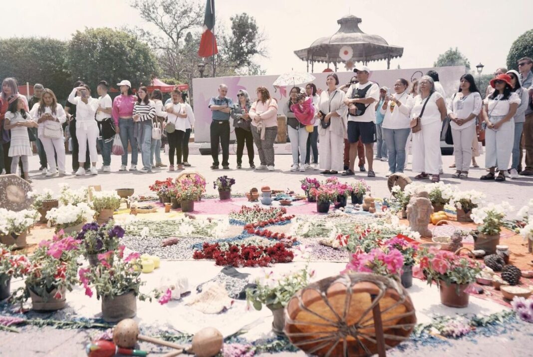 Borrador automático