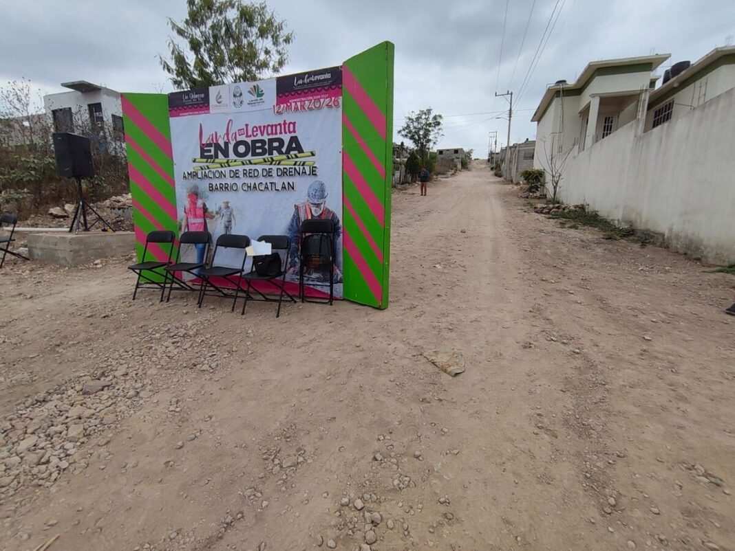 Borrador automático