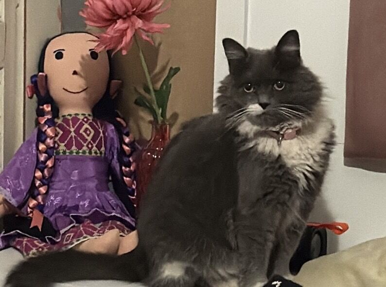 Borrador automático