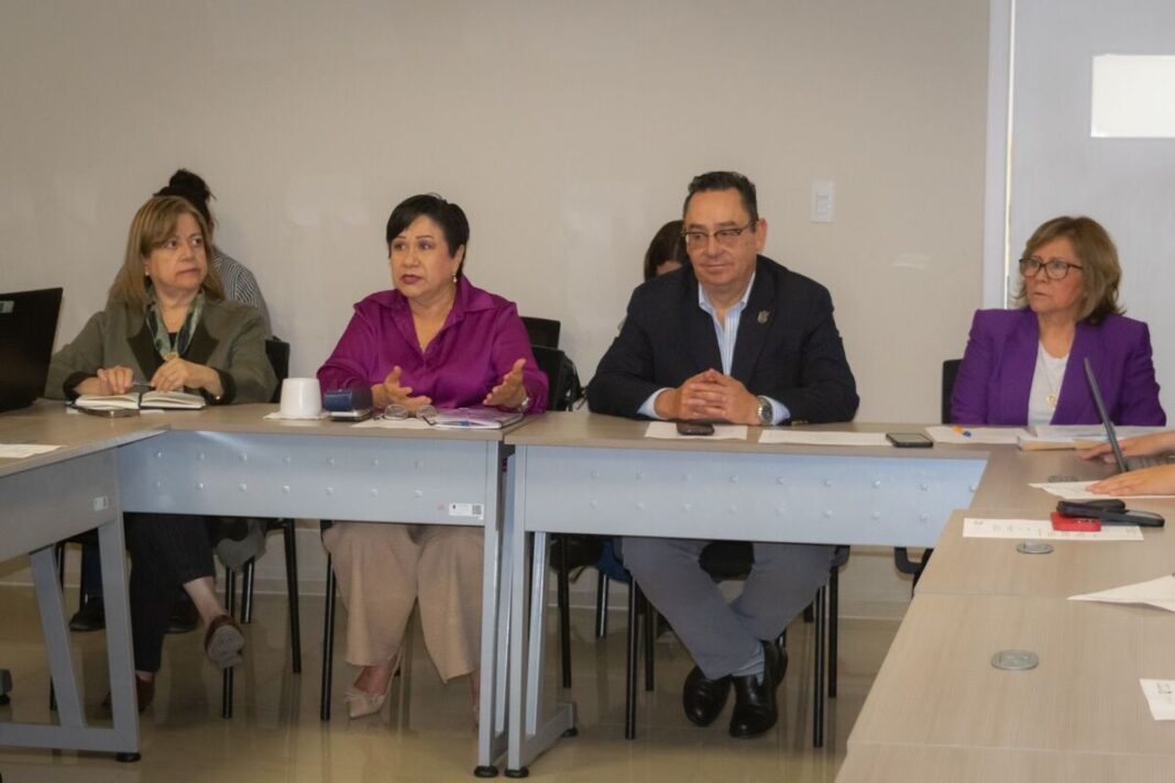 Borrador automático