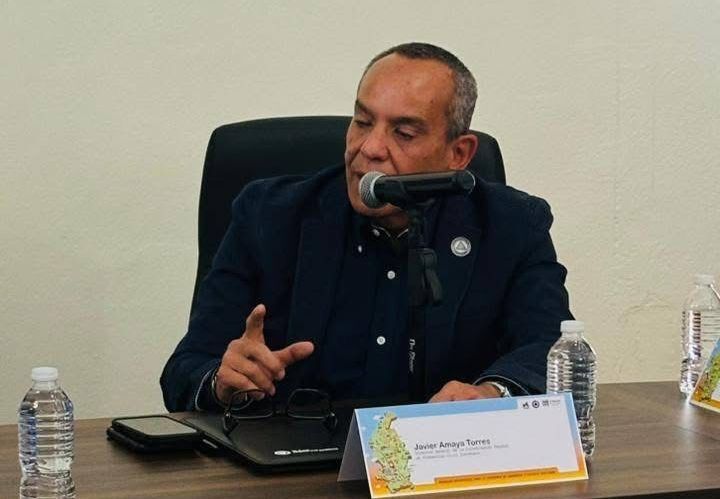 Borrador automático