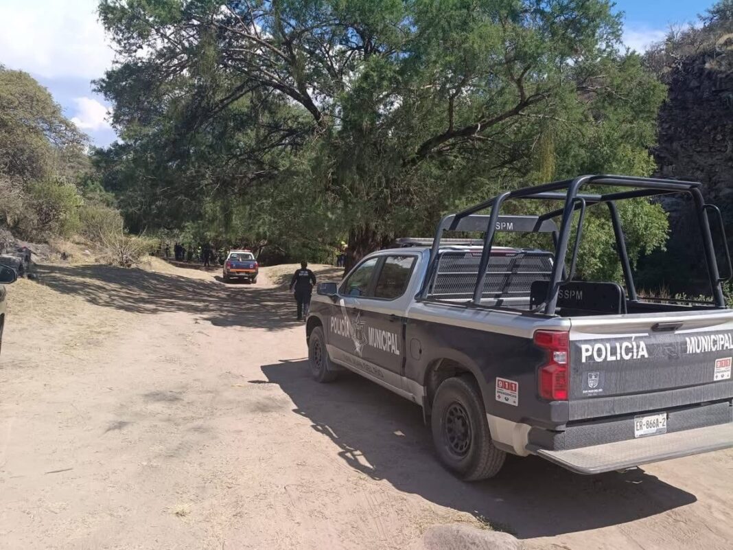 Borrador automático