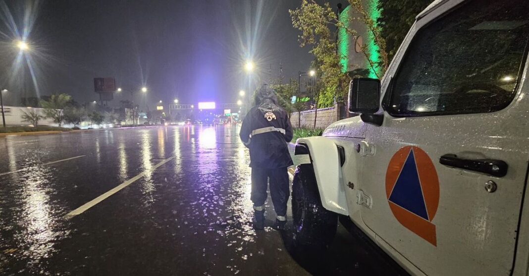 Borrador automático