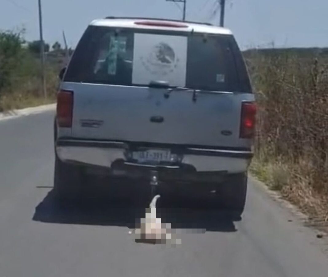 Borrador automático