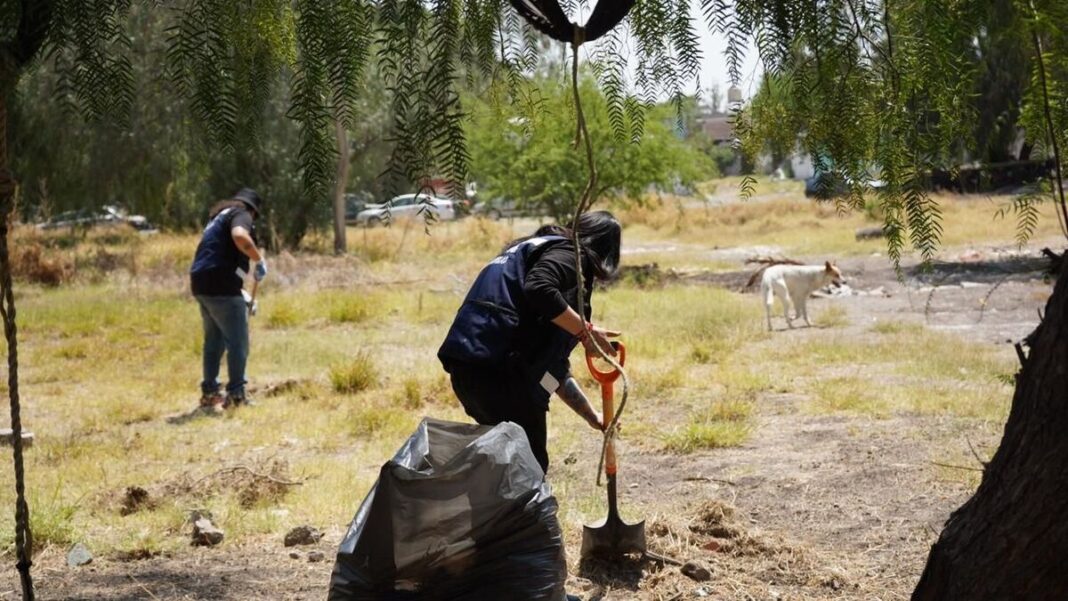 Querétaro impulsa la convivencia con más de seis mil 700 faltas atendidas y 600 trabajos comunitarios Querétaro impulsa la convivencia con más de seis mil 700 faltas atendidas y 600 trabajos comunitarios