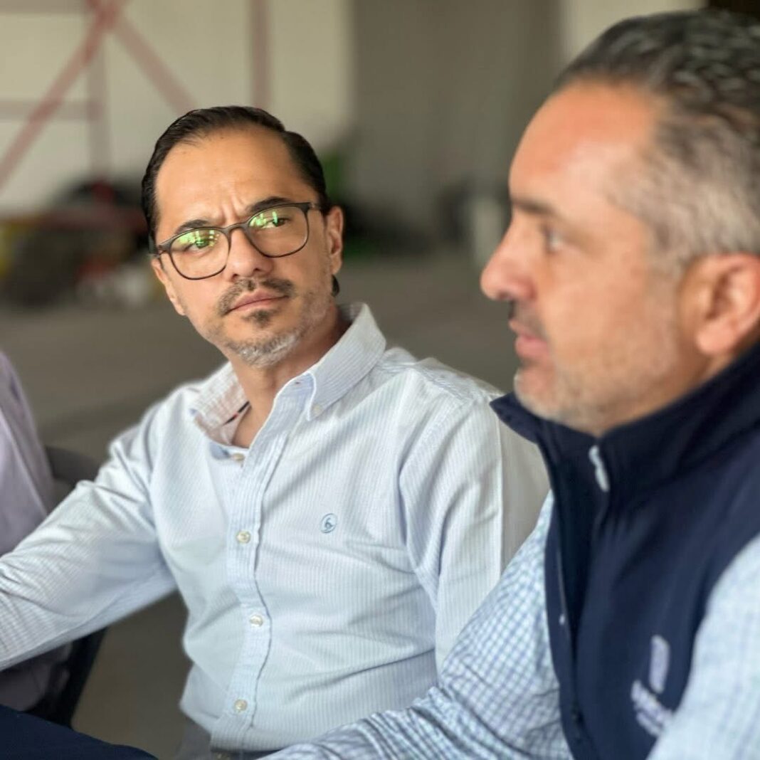 Borrador automático