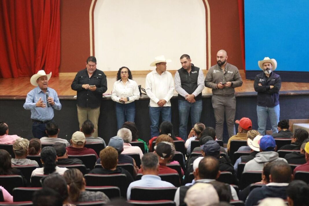 Borrador automático