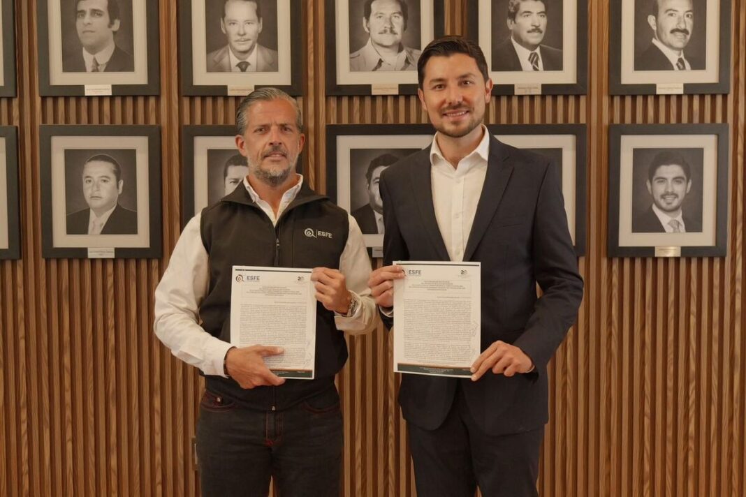 Borrador automático