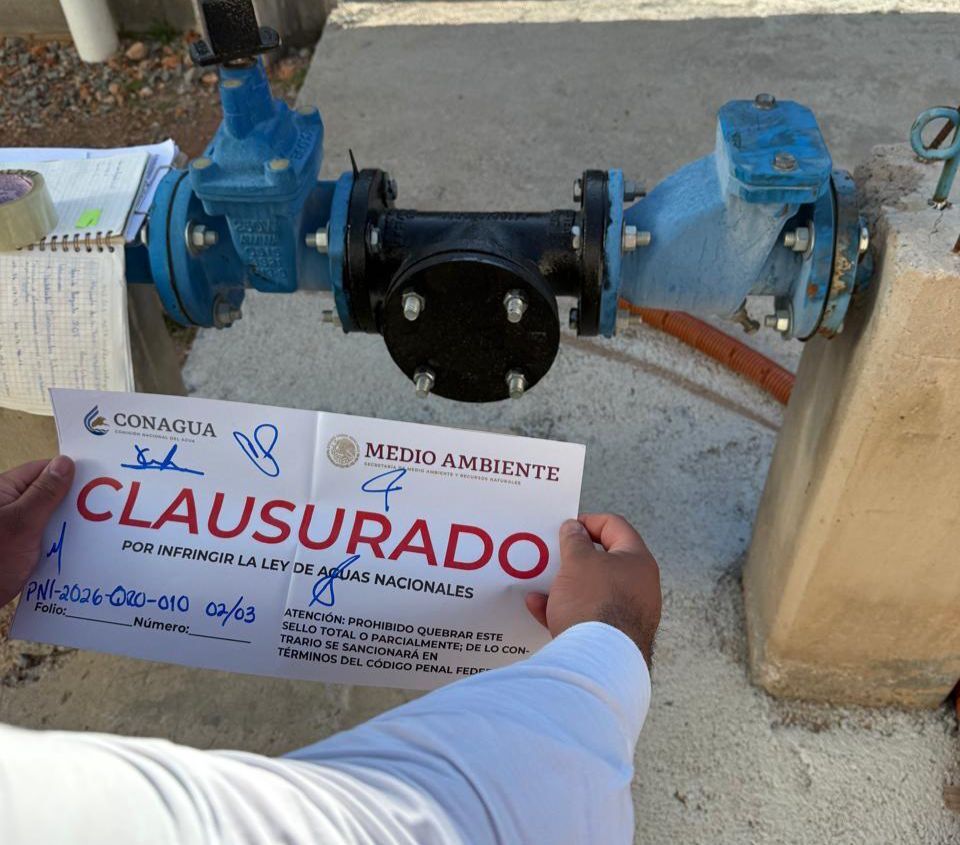 Borrador automático