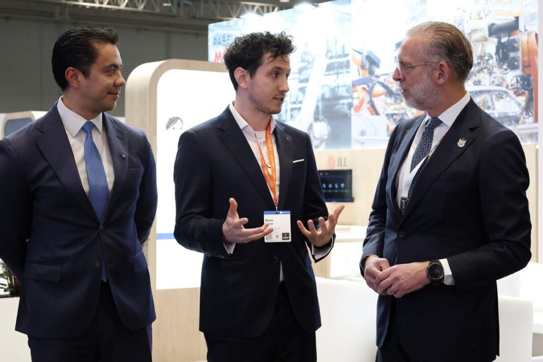 Borrador automático