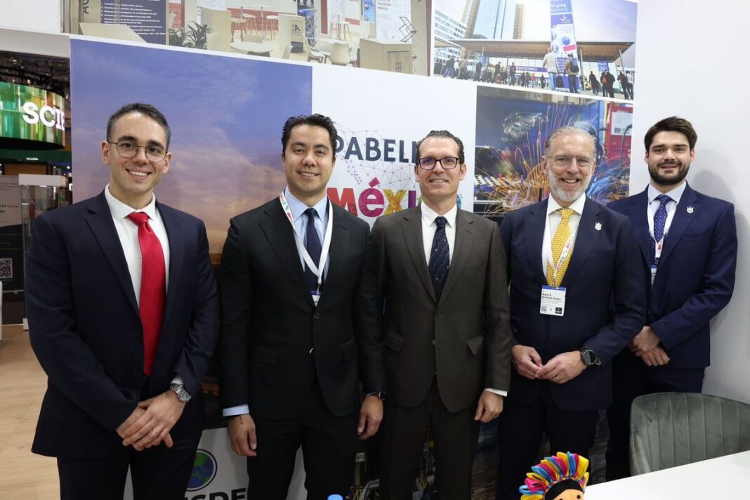 Borrador automático