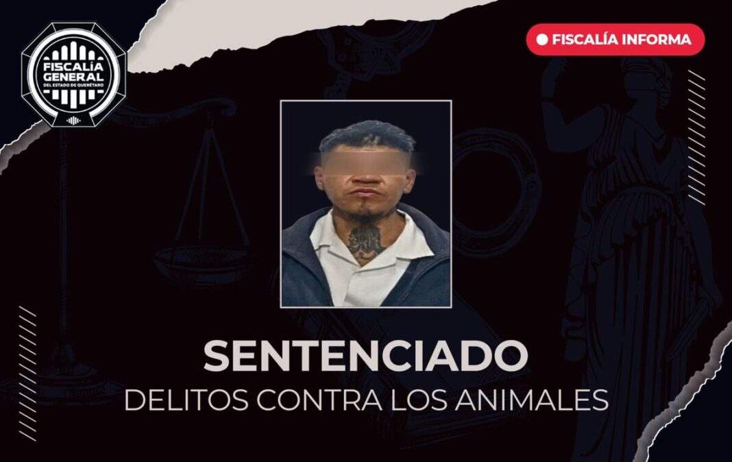 Borrador automático