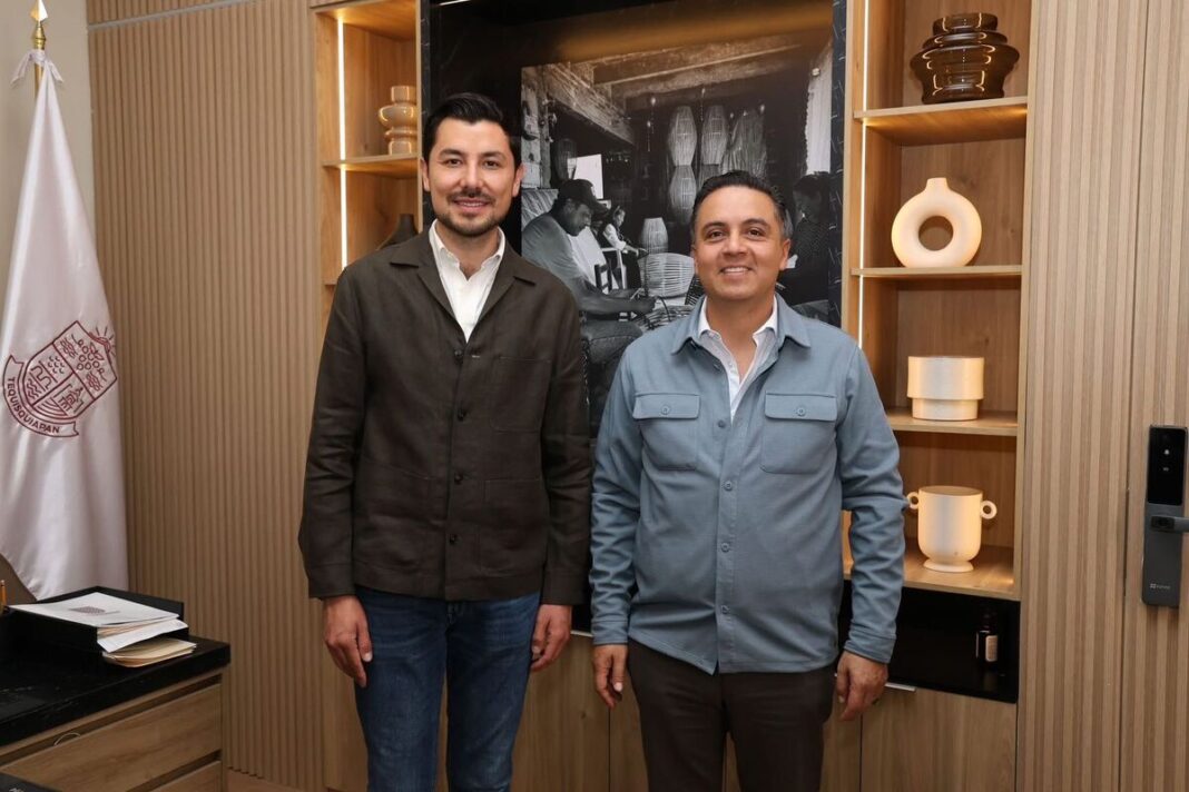 Borrador automático