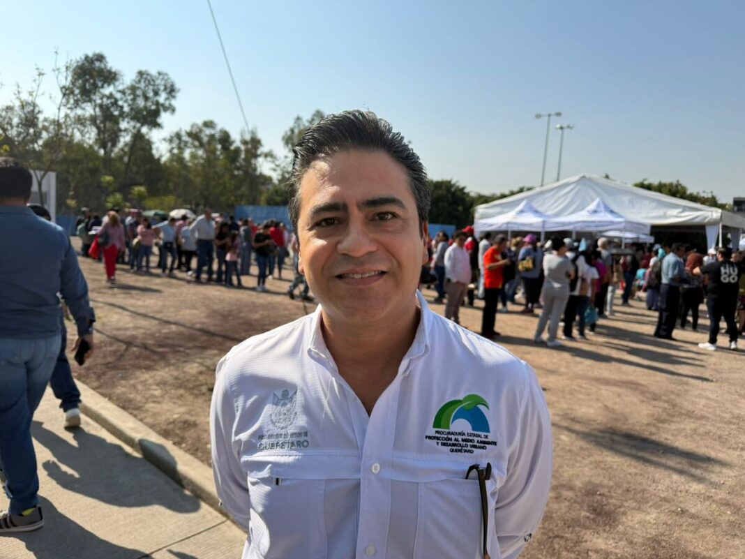 Borrador automático