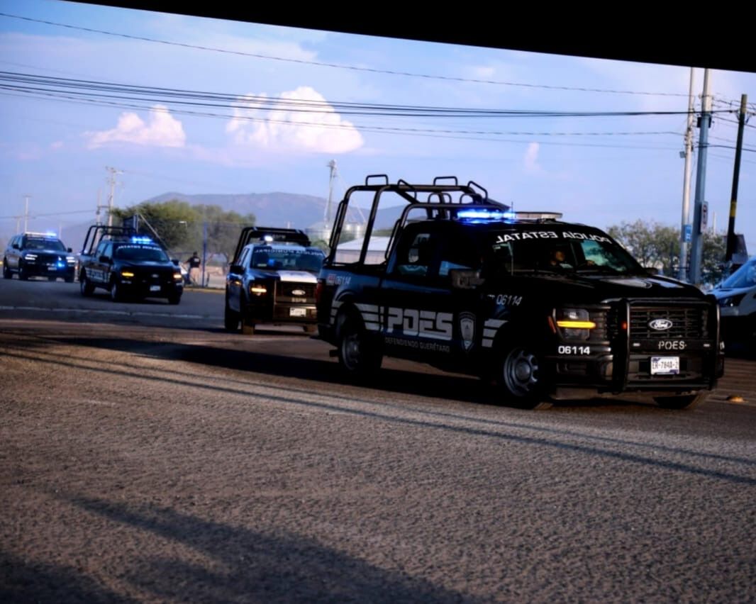 Borrador automático