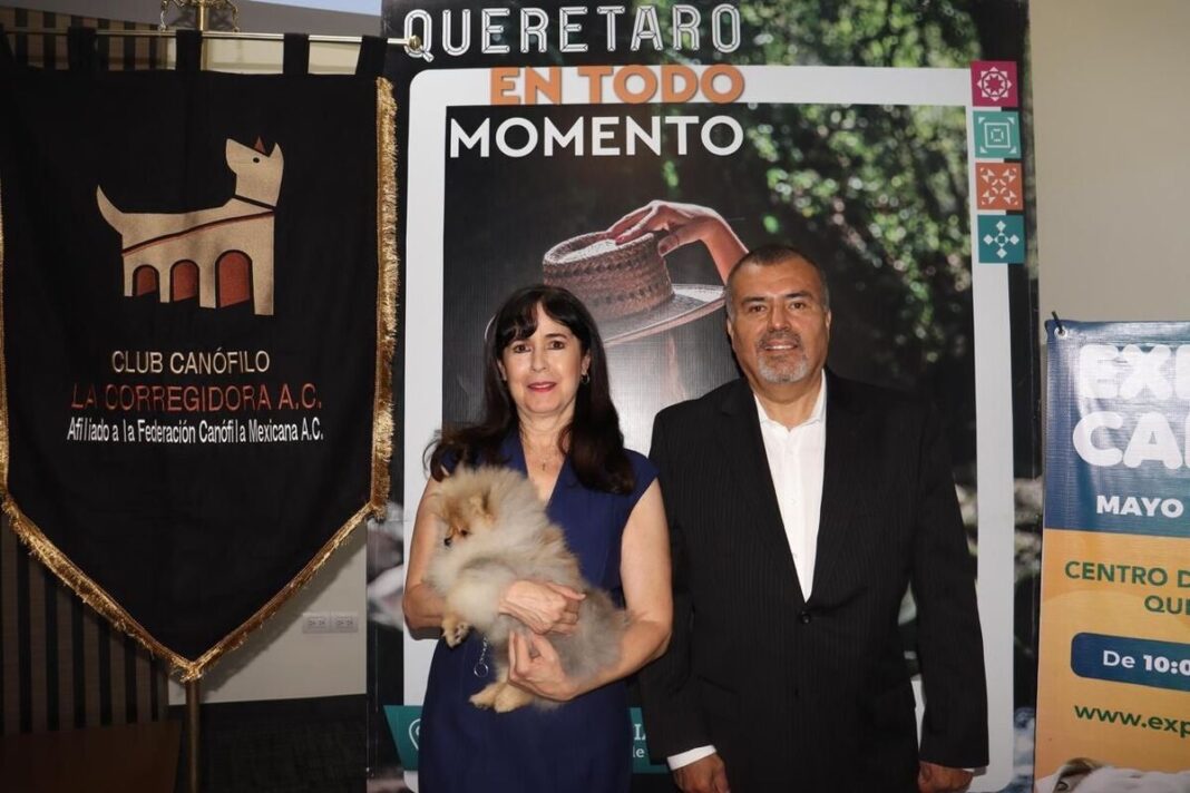 Alistan Expo Canina y otras mascotas 2026 en el QCC Borrador automático