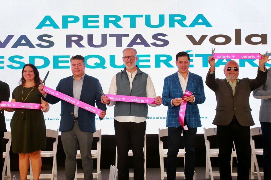 Borrador automático